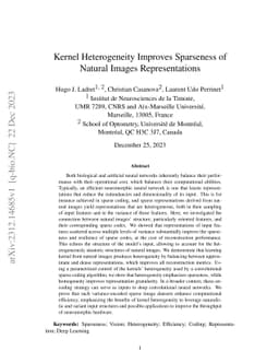 Kernel Heterogeneity Improves Sparseness of Natural Images
  Representations