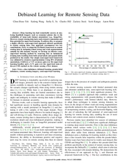 Debiased Learning for Remote Sensing Data