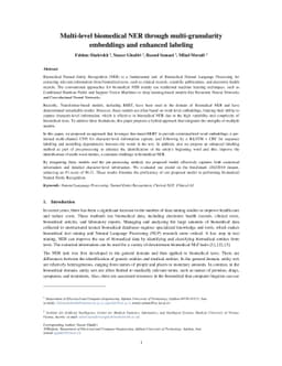Multi-level biomedical NER through multi-granularity embeddings and
  enhanced labeling