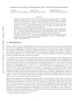 Unsupervised Learning of Phylogenetic Trees via Split-Weight Embedding