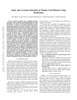 Early and Accurate Detection of Tomato Leaf Diseases Using TomFormer