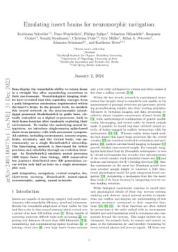 Emulating insect brains for neuromorphic navigation