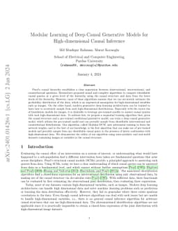 Modular Learning of Deep Causal Generative Models for High-dimensional
  Causal Inference