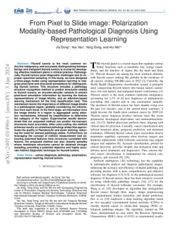 From Pixel to Slide image: Polarization Modality-based Pathological
  Diagnosis Using Representation Learning