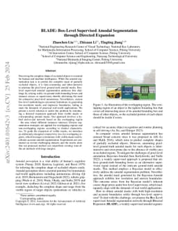 BLADE: Box-Level Supervised Amodal Segmentation through Directed
  Expansion