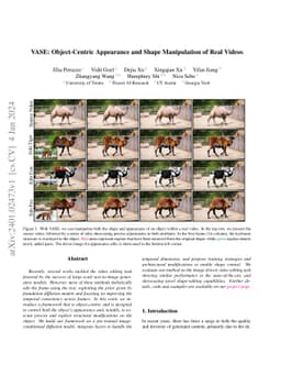 VASE: Object-Centric Appearance and Shape Manipulation of Real Videos
