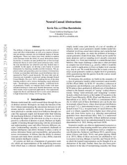 Neural Causal Abstractions