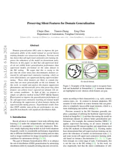 Preserving Silent Features for Domain Generalization