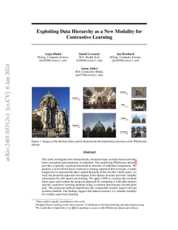 Exploiting Data Hierarchy as a New Modality for Contrastive Learning