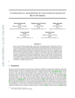 A topological description of loss surfaces based on Betti Numbers