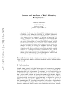 Survey and Analysis of DNS Filtering Components