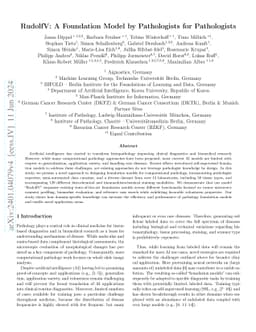 RudolfV: A Foundation Model by Pathologists for Pathologists