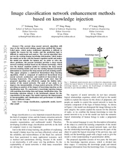 Image classification network enhancement methods based on knowledge
  injection