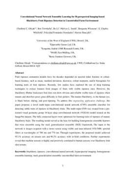 Convolutional Neural Network Ensemble Learning for Hyperspectral
  Imaging-based Blackberry Fruit Ripeness Detection in Uncontrolled Farm
  Environment