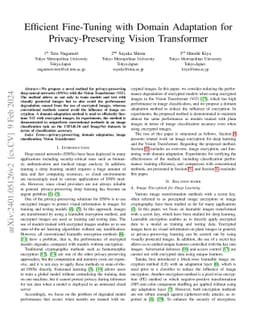 Efficient Fine-Tuning with Domain Adaptation for Privacy-Preserving
  Vision Transformer