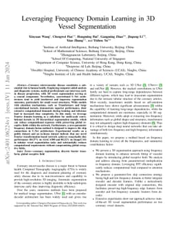 Leveraging Frequency Domain Learning in 3D Vessel Segmentation