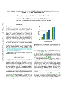 Self-supervised Learning of Dense Hierarchical Representations for
  Medical Image Segmentation