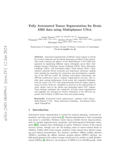 Fully Automated Tumor Segmentation for Brain MRI data using Multiplanner
  UNet