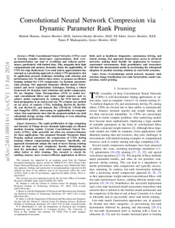 Convolutional Neural Network Compression via Dynamic Parameter Rank
  Pruning