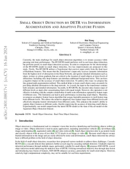 Small Object Detection by DETR via Information Augmentation and Adaptive
  Feature Fusion