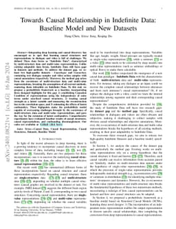Towards Causal Relationship in Indefinite Data: Baseline Model and New
  Datasets