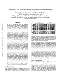 Exploring Color Invariance through Image-Level Ensemble Learning