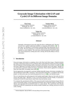 Grayscale Image Colorization with GAN and CycleGAN in Different Image
  Domain