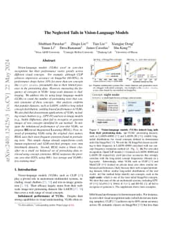 The Neglected Tails in Vision-Language Models