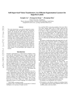 Self-Supervised Vision Transformers Are Efficient Segmentation Learners
  for Imperfect Labels