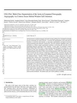 CIS-UNet: Multi-Class Segmentation of the Aorta in Computed Tomography
  Angiography via Context-Aware Shifted Window Self-Attention