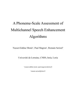 A Phoneme-Scale Assessment of Multichannel Speech Enhancement Algorithms