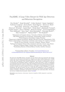 PanAf20K: A Large Video Dataset for Wild Ape Detection and Behaviour
  Recognition