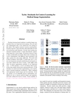 Tyche: Stochastic In-Context Learning for Medical Image Segmentation