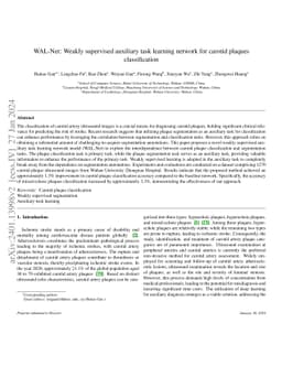WAL-Net: Weakly supervised auxiliary task learning network for carotid
  plaques classification