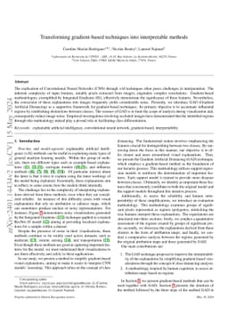 Transforming gradient-based techniques into interpretable methods