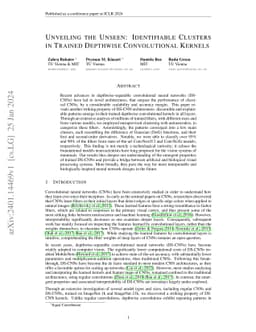 Unveiling the Unseen: Identifiable Clusters in Trained Depthwise
  Convolutional Kernels