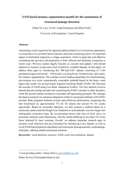 SAM-based instance segmentation models for the automation of structural
  damage detection