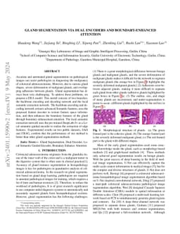 Gland Segmentation Via Dual Encoders and Boundary-Enhanced Attention