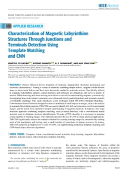 Characterization of Magnetic Labyrinthine Structures Through Junctions
  and Terminals Detection Using Template Matching and CNN