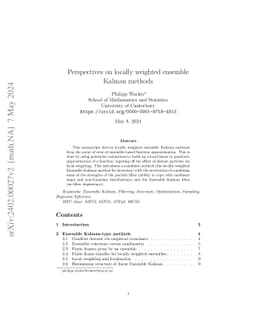 Perspectives on locally weighted ensemble Kalman methods