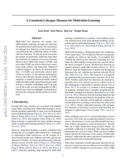 A Consistent Lebesgue Measure for Multi-label Learning
