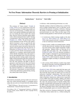 No Free Prune: Information-Theoretic Barriers to Pruning at
  Initialization