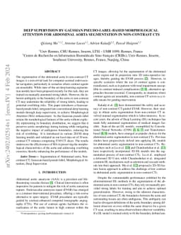 Deep Supervision by Gaussian Pseudo-label-based Morphological Attention
  for Abdominal Aorta Segmentation in Non-Contrast CTs