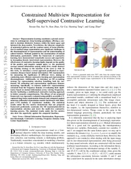 Constrained Multiview Representation for Self-supervised Contrastive
  Learning