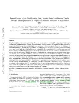 Beyond Strong labels: Weakly-supervised Learning Based on Gaussian
  Pseudo Labels for The Segmentation of Ellipse-like Vascular Structures in
  Non-contrast CTs