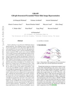 GRASP: GRAph-Structured Pyramidal Whole Slide Image Representation