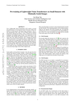 Pre-training of Lightweight Vision Transformers on Small Datasets with
  Minimally Scaled Images