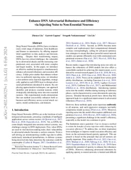 Enhance DNN Adversarial Robustness and Efficiency via Injecting Noise to
  Non-Essential Neurons