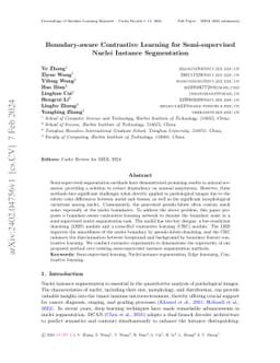 Boundary-aware Contrastive Learning for Semi-supervised Nuclei Instance
  Segmentation