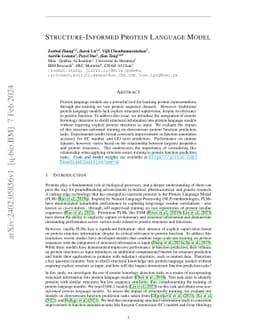 Structure-Informed Protein Language Model